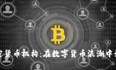 揭秘韩国加密货币机构：