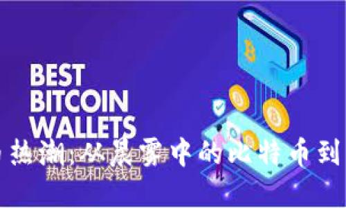加密货币热潮：从晨雾中的比特币到璀璨未来