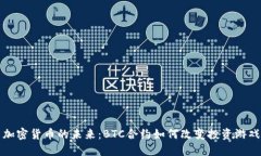 探索加密货币的未来：B