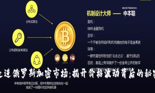 走进俄罗斯加密市场：揭开价格波动背后的秘密