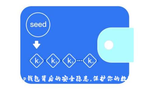 揭秘t p钱包背后的安全隐患，保护你的数字资产！