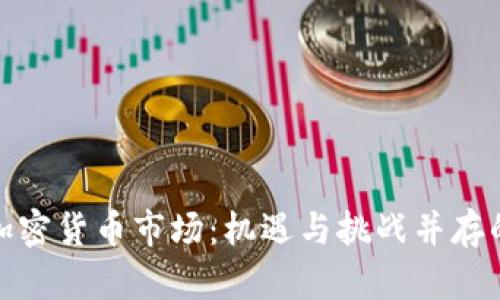 探秘欧洲加密货币市场：机遇与挑战并存的未来之路