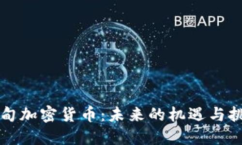 缅甸加密货币：未来的机遇与挑战