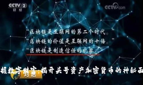 掌握数字财富：揭开头号资产加密货币的神秘面纱