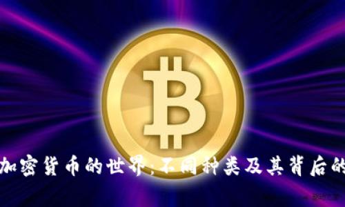 探索加密货币的世界：不同种类及其背后的故事