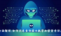 全面解析：如何快速查询