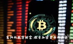 襄阳的数字财富：探索加