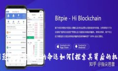 战争的阴影下，加密货币