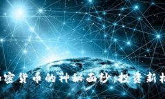 揭开Revolve加密货币的神秘
