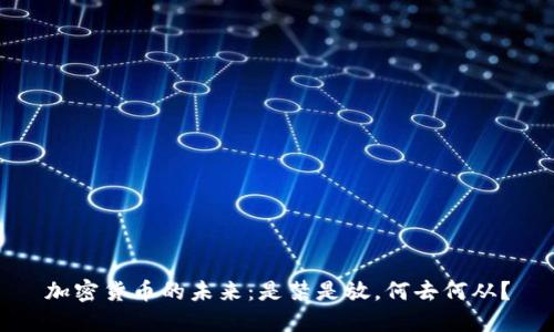 加密货币的未来：是禁是放，何去何从？