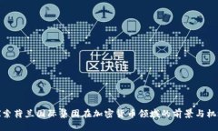 探索荷兰国际集团在加密