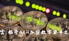 : 晨雾中的财富：揭开AC