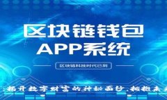 加密货币：揭开数字财富