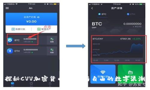 探秘CVV加密货币：安全与自由的数字浪潮