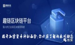 揭开加密货币神秘面纱：