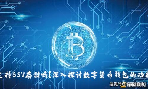 TP钱包支持BSV存储吗？深入探讨数字货币钱包的功能与选择
