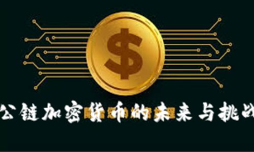 公链加密货币的未来与挑战