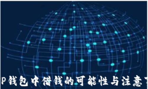 
在TP钱包中借钱的可能性与注意事项