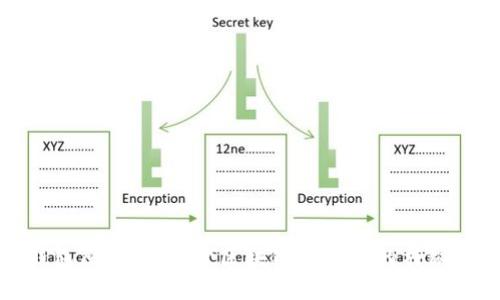 TP钱包原始币：揭开区块链交易所的神秘面纱