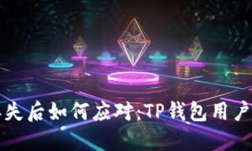 私钥丢失后如何应对：TP钱包用户的指南