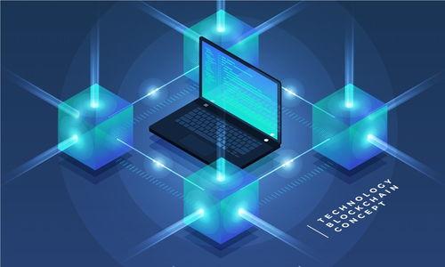 

电脑钱包中的加密货币：安全存储与使用指南