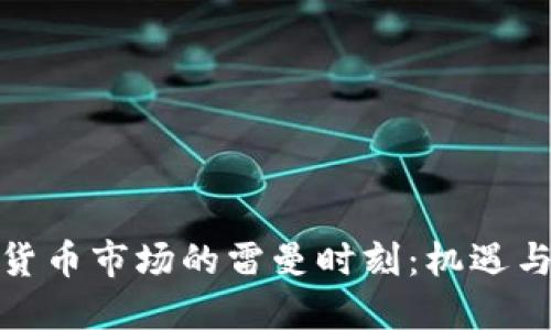 加密货币市场的雷曼时刻：机遇与挑战