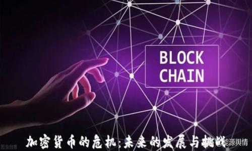 
加密货币的危机：未来的发展与挑战