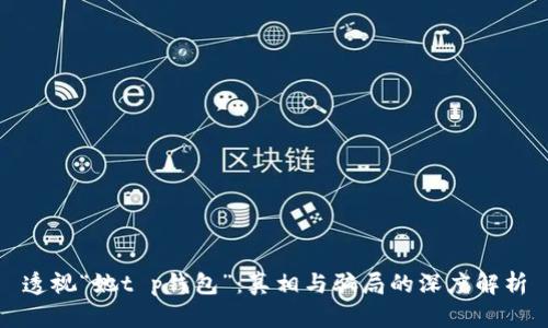 透视“她t p钱包”：真相与骗局的深度解析