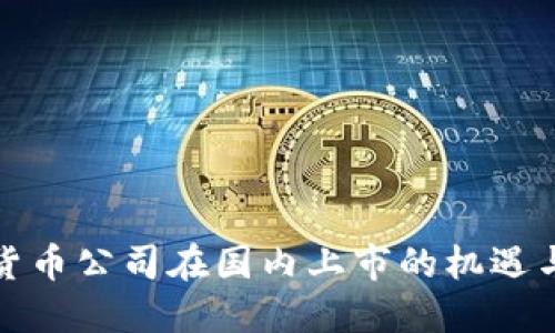 加密货币公司在国内上市的机遇与挑战