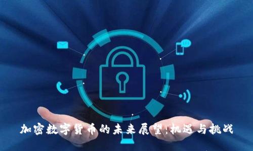 加密数字货币的未来展望：机遇与挑战