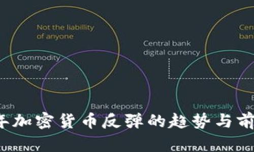 2025年加密货币反弹的趋势与前景分析