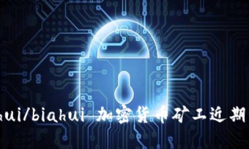 biahui/biahui 加密货币矿工近期活跃