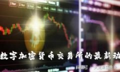  2023年数字加密货币交易所