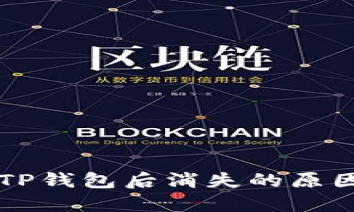 货币转账至TP钱包后消失的原因与解决方案