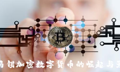   
淡马锡加密数字货币的崛起与影响