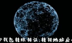 如何处理TP钱包转账错误：