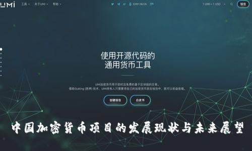 中国加密货币项目的发展现状与未来展望