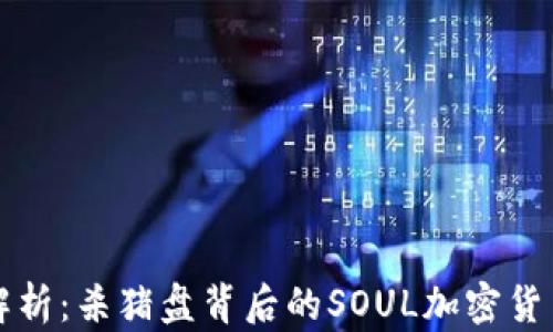 
深入解析：杀猪盘背后的SOUL加密货币现象