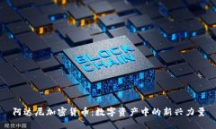 阿达尼加密货币：数字资