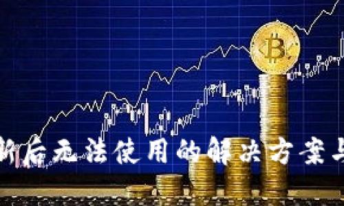 TP钱包更新后无法使用的解决方案与用户体验