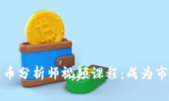 深入探索加密货币分析师