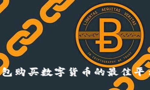  TP钱包购买数字货币的最佳平台指南