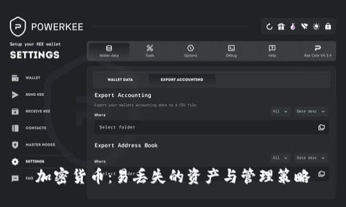 加密货币：易丢失的资产与管理策略