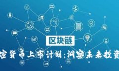 新加密货币上市计划：洞