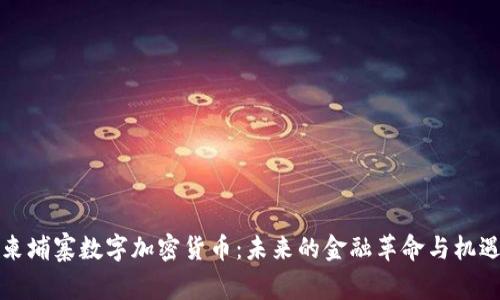 柬埔寨数字加密货币：未来的金融革命与机遇