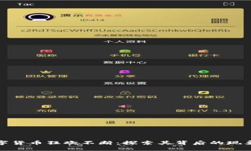 加密数字货币狂欢不断：探索其背后的现象与未来