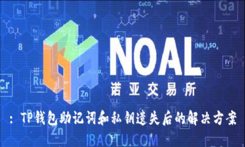 : TP钱包助记词和私钥遗失后的解决方案