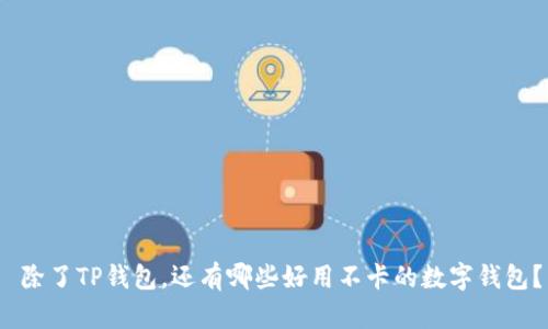  除了TP钱包，还有哪些好用不卡的数字钱包？