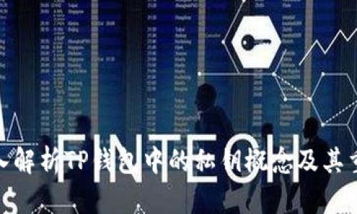 : 深入解析TP钱包中的私钥概念及其重要性