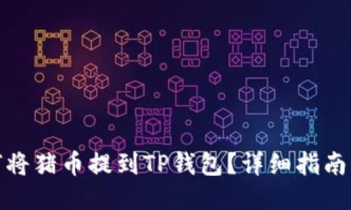 : 如何将猪币提到TP钱包？详细指南与技巧